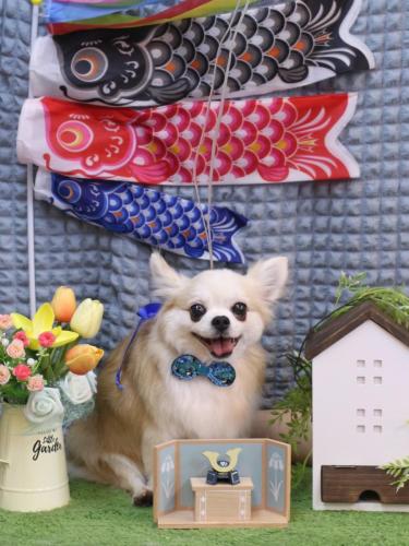 20230525クッキーくん